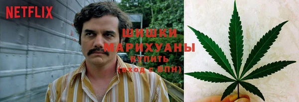 дурь Вяземский